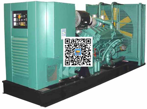 阳春笼型异步发电机的电力电子控制技术